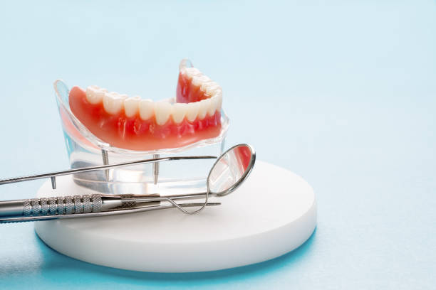 Best Dental Exams and Cleanings  in Little Falls, MN